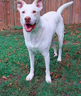 Book an Appointment with Annika C at Medix Student Massage Clinic - Toronto