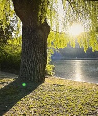 Book an Appointment with Lois Hansen, Psychotherapist, for Counselling