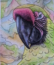 Book an Appointment with Caitlin and Marcus Art Studio for Kids Art Class