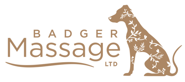 Badger Massage